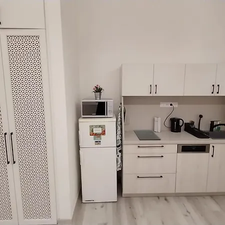 아파트 Szekely Near Deak Ferenc Square With Free Parking In Garage