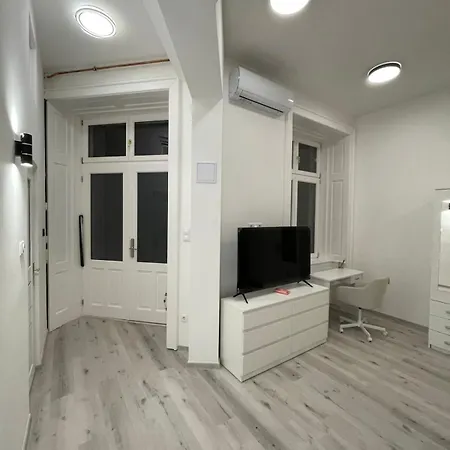 아파트 Szekely Near Deak Ferenc Square With Free Parking In Garage 부다페스트